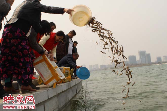 山东商会志愿者将麻雀和泥鳅放回大自然