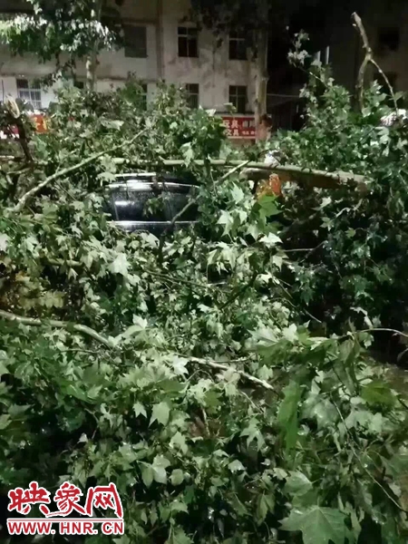 南阳大事件:狂风暴雨骤至 万家渔火餐厅"离家"