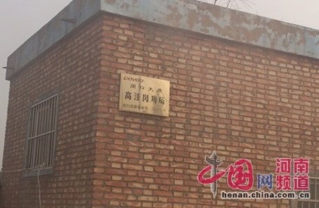 周口项城县高洼肉鸡养殖场