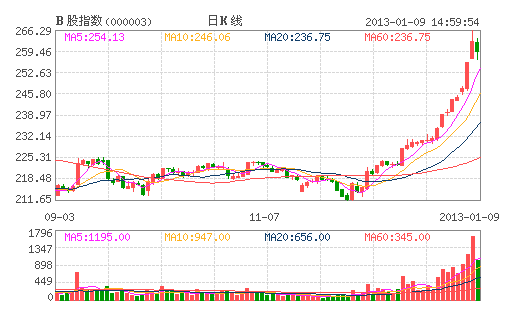 B股指数整体回调 闽灿坤一枝独秀仍涨停