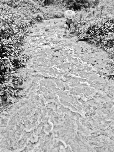 梅子回家的山道，晴天是路，雨天是河