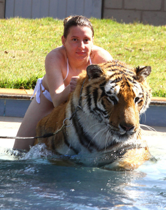 女儿与虎一起洗澡玩耍