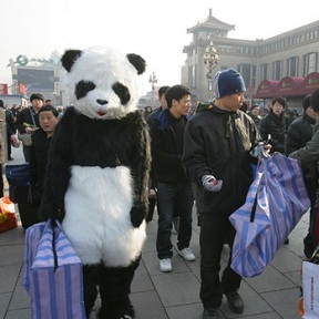 旅客扮熊猫体验春运