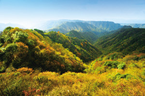 初冬游重庆石柱 90元玩遍四大景区