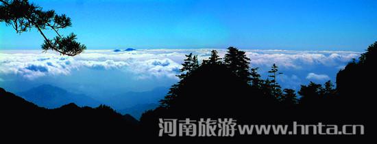 教师节优惠来袭 免费游洛阳白云山景区