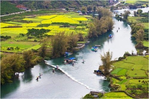 盘点全国13处绝美的油菜花观赏地