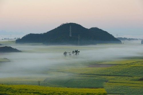 盘点全国13处绝美的油菜花观赏地