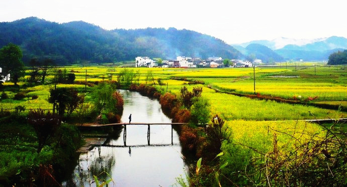 我和鲜花的约会 三月旅游赏花大攻略