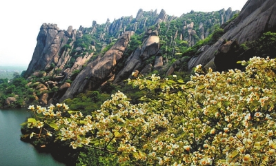 正好清明连谷雨春满嵖岈花满山