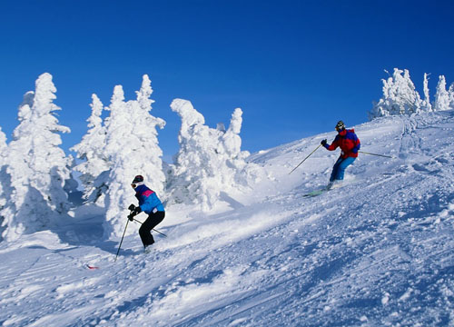 雕琢冬日 不可错过的滑雪胜地