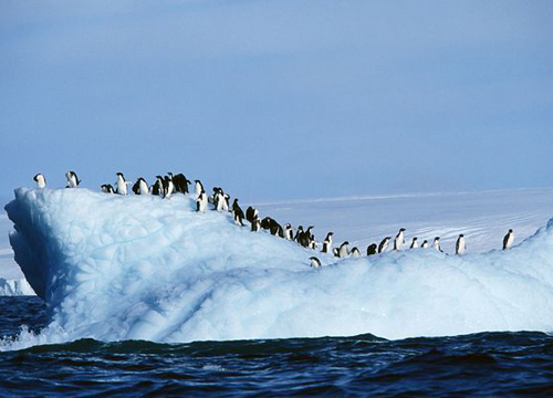 南极 深寒极限中的极限探险