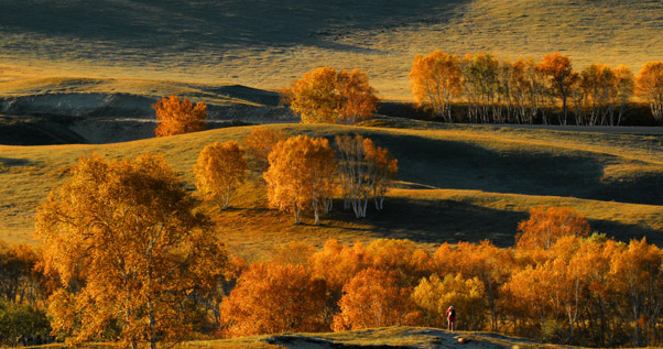 金色的秋天震撼的美景(图)