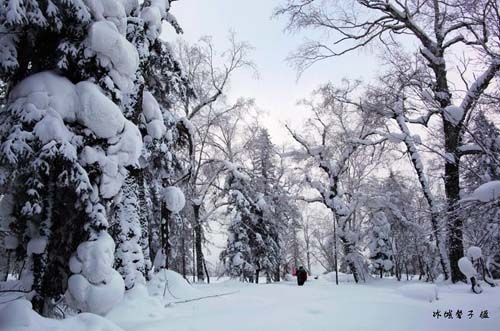 雪乡的雪