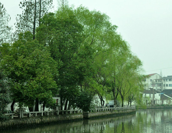 烟雨姑苏城