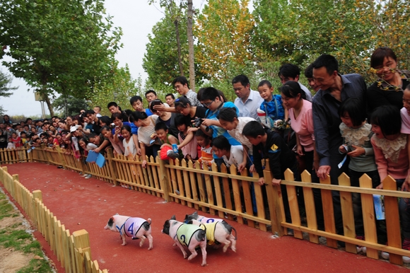 [旅游攻略]金秋十月郑州绿博园特供“旅游大餐”