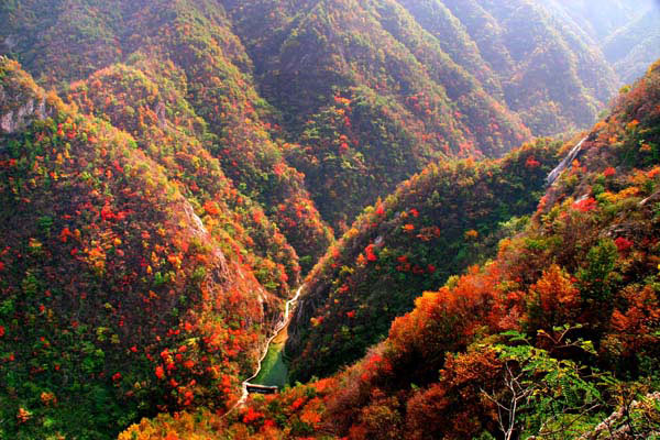 旅游商城享特惠 35元畅游栾川养子沟