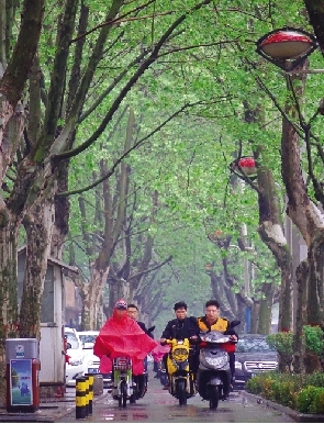 小雨中美丽的嵩山路