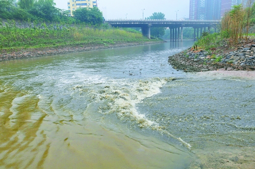 洛阳涧河遭大明渠中污水肆虐 钓出鱼儿都带油腥