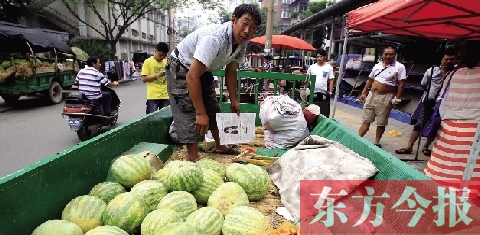 因为夜里睡太沉，来郑州卖瓜的开封瓜农姚老汉不但丢钱还丢瓜