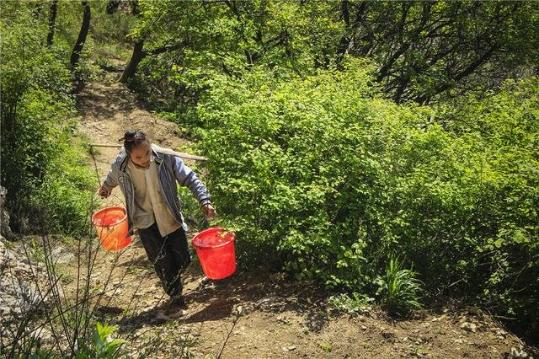 80后小伙隐居嵩山 住洞穴吃野草修道8年