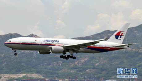 直击马航MH17客机坠毁现场