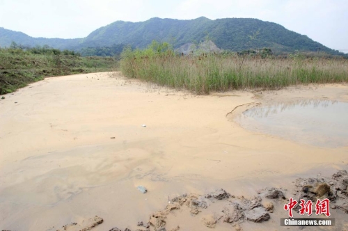 浙江绍兴现“牛奶河”