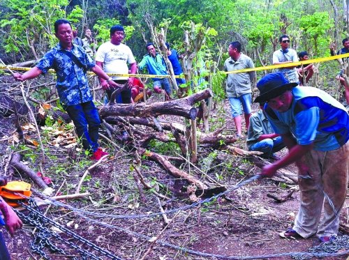 媒体称印尼巴厘岛车祸原因系车辆爬坡途中熄火