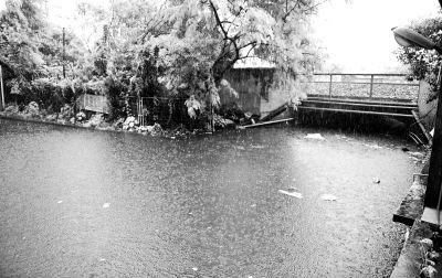 白云区棠乐路通往石槎路的一个铁路桥底涵洞常被暴雨积水淹没。《信息时报》供图