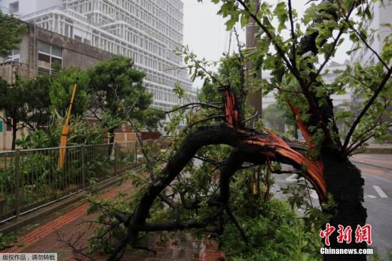 台风“浣熊”登陆日本破坏力大 已致至少2人死