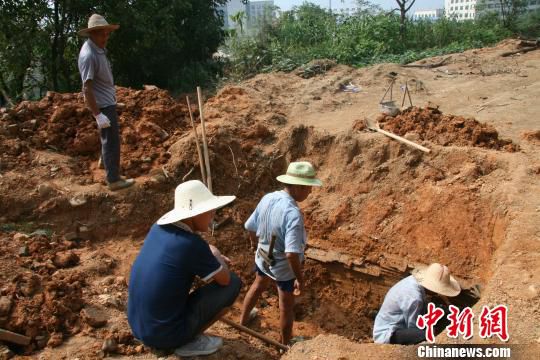 岩桥村庙山地区考古现场。　桐庐文管办　摄