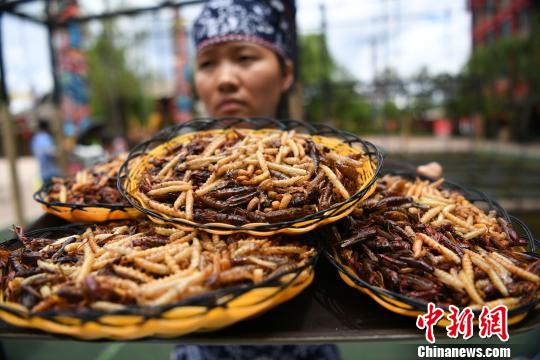 丽江一景区举行吃昆虫比赛重庆游客吃2斤昆虫赢得金条